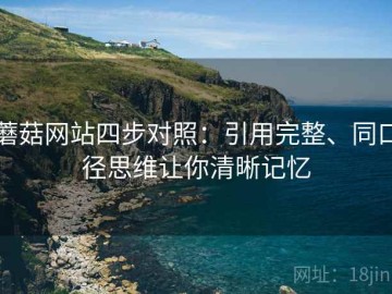 蘑菇网站四步对照：引用完整、同口径思维让你清晰记忆