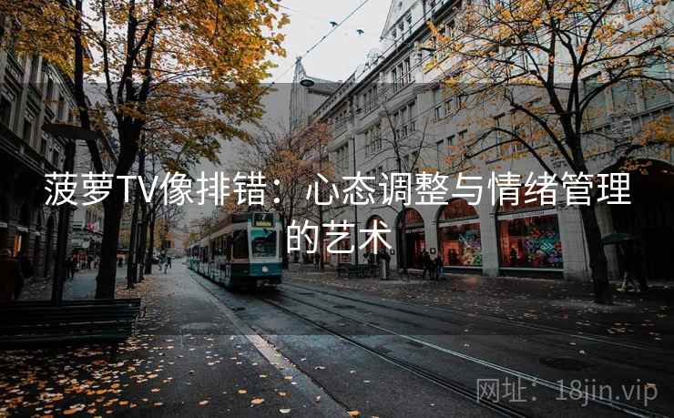 菠萝TV像排错：心态调整与情绪管理的艺术
